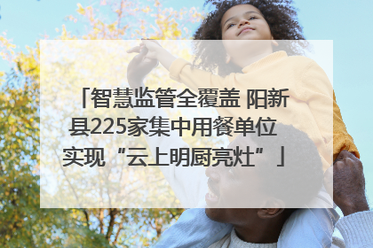 智慧监管全覆盖 阳新县225家集中用餐单位实现“云上明厨亮灶”