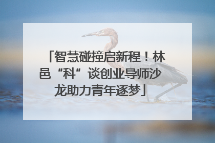 智慧碰撞启新程！林邑“科”谈创业导师沙龙助力青年逐梦