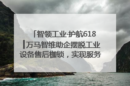 智领工业·护航618┃万马智维助企摆脱工业设备售后枷锁，实现服务与效能价值共振！