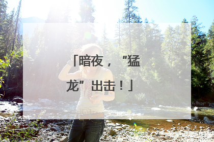 暗夜，“猛龙”出击！
