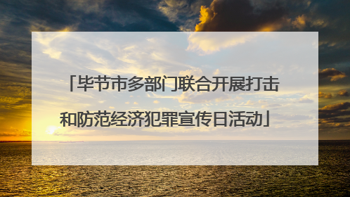 毕节市多部门联合开展打击和防范经济犯罪宣传日活动