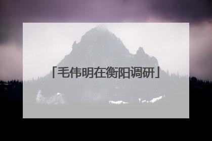 毛伟明在衡阳调研