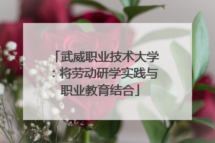 武威职业技术大学：将劳动研学实践与职业教育结合