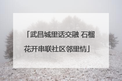 武昌城里话交融 石榴花开串联社区邻里情