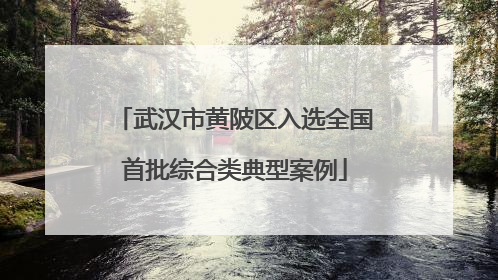 武汉市黄陂区入选全国首批综合类典型案例