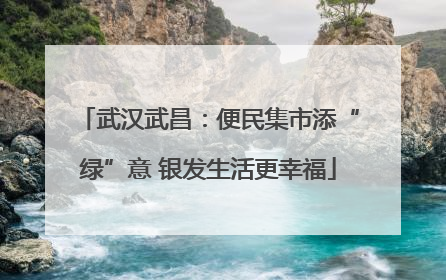 武汉武昌：便民集市添“绿”意 银发生活更幸福