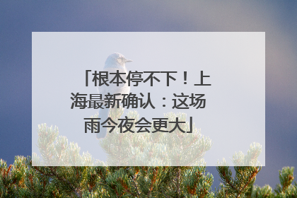 根本停不下！上海最新确认：这场雨今夜会更大