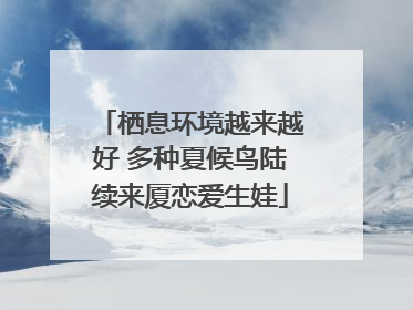 栖息环境越来越好 多种夏候鸟陆续来厦恋爱生娃