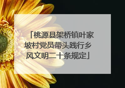 桃源县架桥镇叶家坡村党员带头践行乡风文明二十条规定