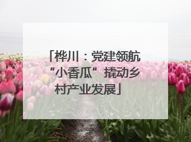 桦川：党建领航“小香瓜”撬动乡村产业发展