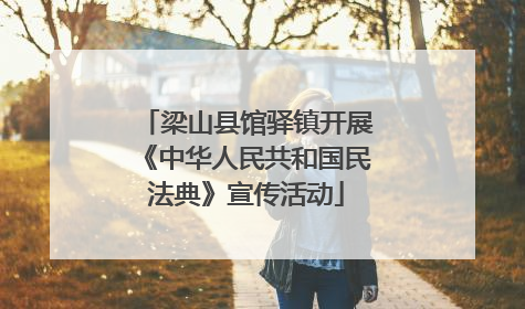 梁山县馆驿镇开展《中华人民共和国民法典》宣传活动