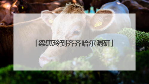 梁惠玲到齐齐哈尔调研