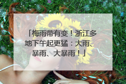 梅雨带有变！浙江多地下午起更猛：大雨、暴雨、大暴雨！
