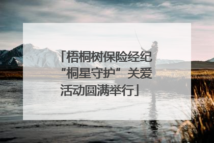 梧桐树保险经纪“桐星守护”关爱活动圆满举行