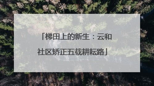 梯田上的新生：云和社区矫正五载耕耘路