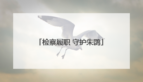 检察履职 守护朱鹮
