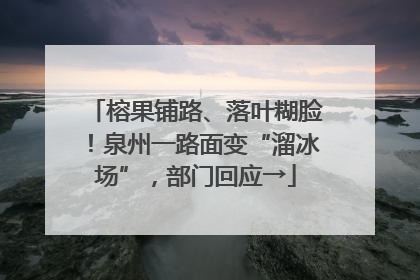榕果铺路、落叶糊脸！泉州一路面变“溜冰场”，部门回应→