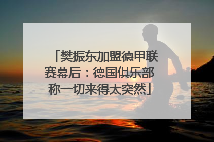 樊振东加盟德甲联赛幕后：德国俱乐部称一切来得太突然