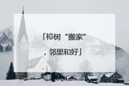 樟树“搬家”，邻里和好
