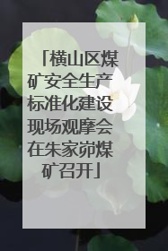 横山区煤矿安全生产标准化建设现场观摩会在朱家峁煤矿召开