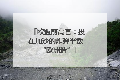 欧盟前高官：投在加沙的炸弹半数“欧洲造”