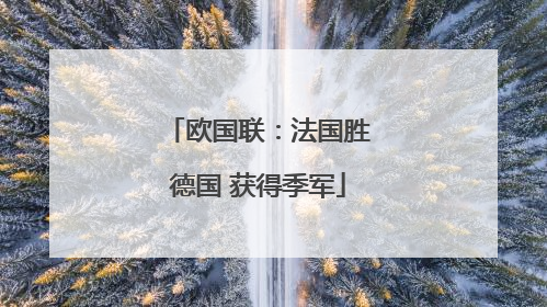 欧国联：法国胜德国 获得季军