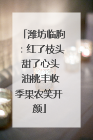 潍坊临朐：红了枝头 甜了心头 油桃丰收季果农笑开颜