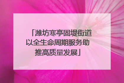 潍坊寒亭固堤街道以全生命周期服务助推高质量发展