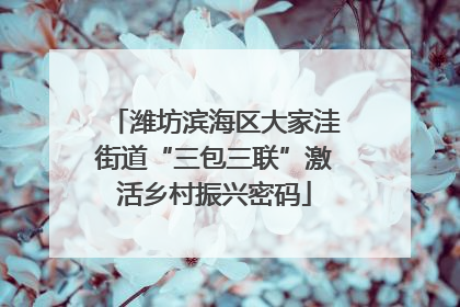 潍坊滨海区大家洼街道“三包三联”激活乡村振兴密码
