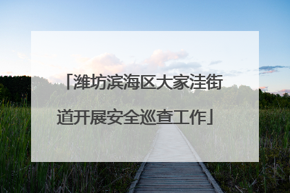潍坊滨海区大家洼街道开展安全巡查工作