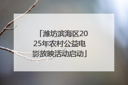 潍坊滨海区2025年农村公益电影放映活动启动