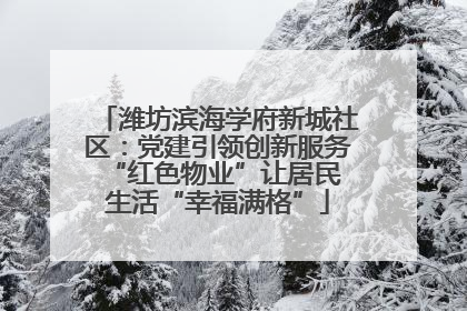 潍坊滨海学府新城社区：党建引领创新服务 “红色物业”让居民生活“幸福满格”