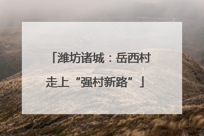 潍坊诸城：岳西村走上“强村新路”
