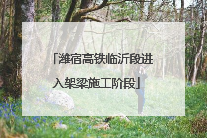 潍宿高铁临沂段进入架梁施工阶段