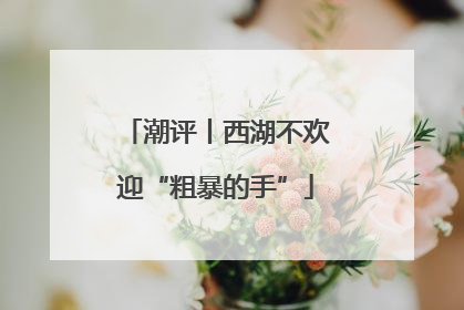 潮评丨西湖不欢迎“粗暴的手”