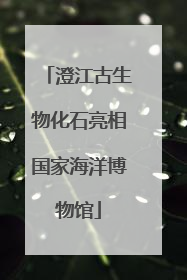 澄江古生物化石亮相国家海洋博物馆