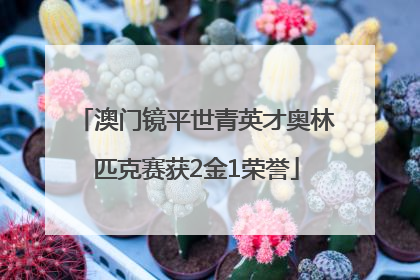 澳门镜平世青英才奥林匹克赛获2金1荣誉
