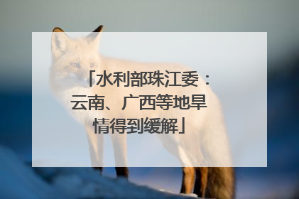 水利部珠江委：云南、广西等地旱情得到缓解