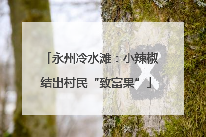永州冷水滩：小辣椒结出村民“致富果”