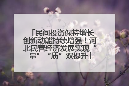 民间投资保持增长 创新动能持续增强！河北民营经济发展实现“量”“质”双提升