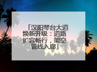 汉阳琴台大道焕新升级：道路扩容畅行，架空管线入廊