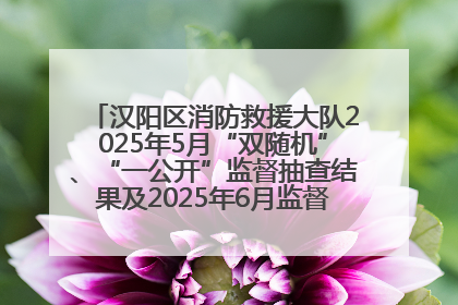 汉阳区消防救援大队2025年5月“双随机”、“一公开”监督抽查结果及2025年6月监督抽查任务公示