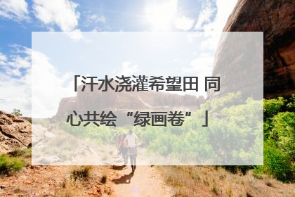 汗水浇灌希望田 同心共绘“绿画卷”