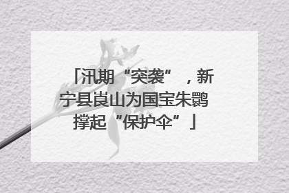 汛期“突袭”，新宁县崀山为国宝朱鹮撑起“保护伞”