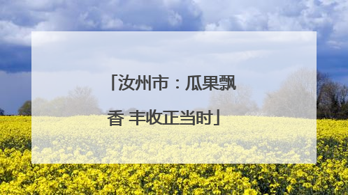 汝州市：瓜果飘香 丰收正当时