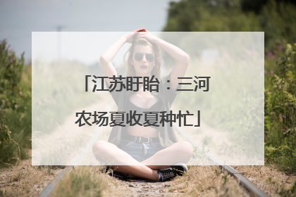 江苏盱眙：三河农场夏收夏种忙