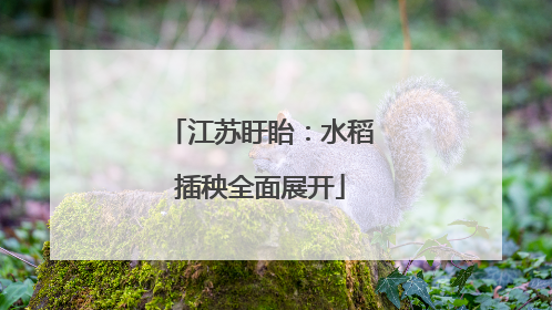 江苏盱眙：水稻插秧全面展开