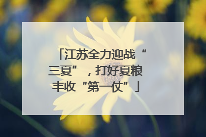 江苏全力迎战“三夏”，打好夏粮丰收“第一仗”