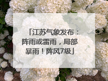 江苏气象发布：阵雨或雷雨，局部暴雨！阵风7级