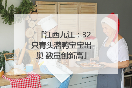 江西九江：32只青头潜鸭宝宝出巢 数量创新高